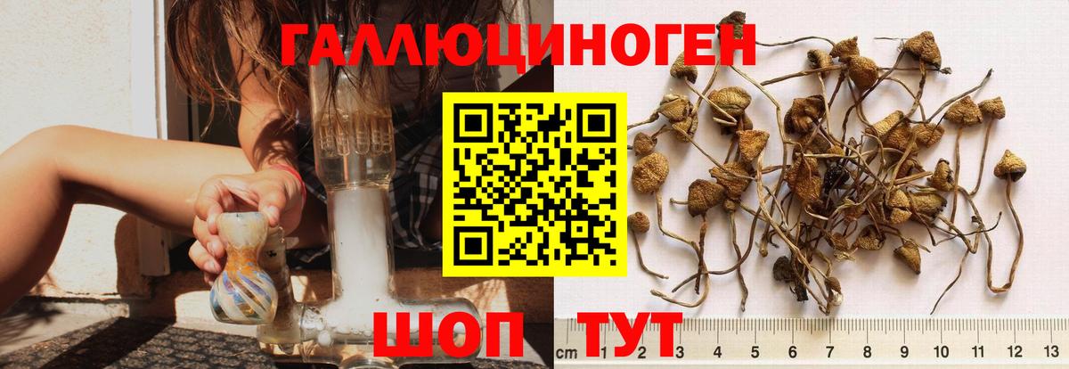 Сафоново  Галлюциногенные грибы Magic Shrooms  Вход с VPN 