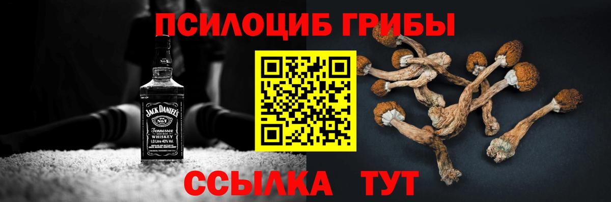 Галлюциногенные грибы GOLDEN TEACHER Сафоново